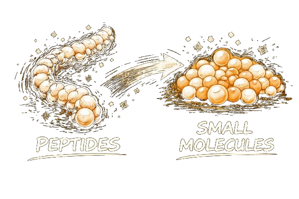 Peptides to Small Molecules