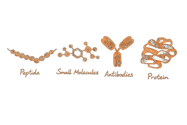 Peptide, Small Molecules, Antibodies, Protein